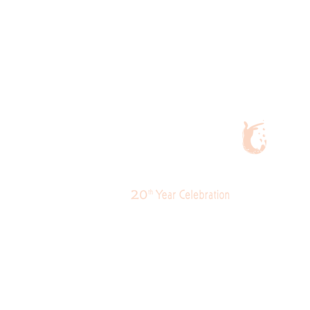 Bacchus white logo final 2024 low res-square-01